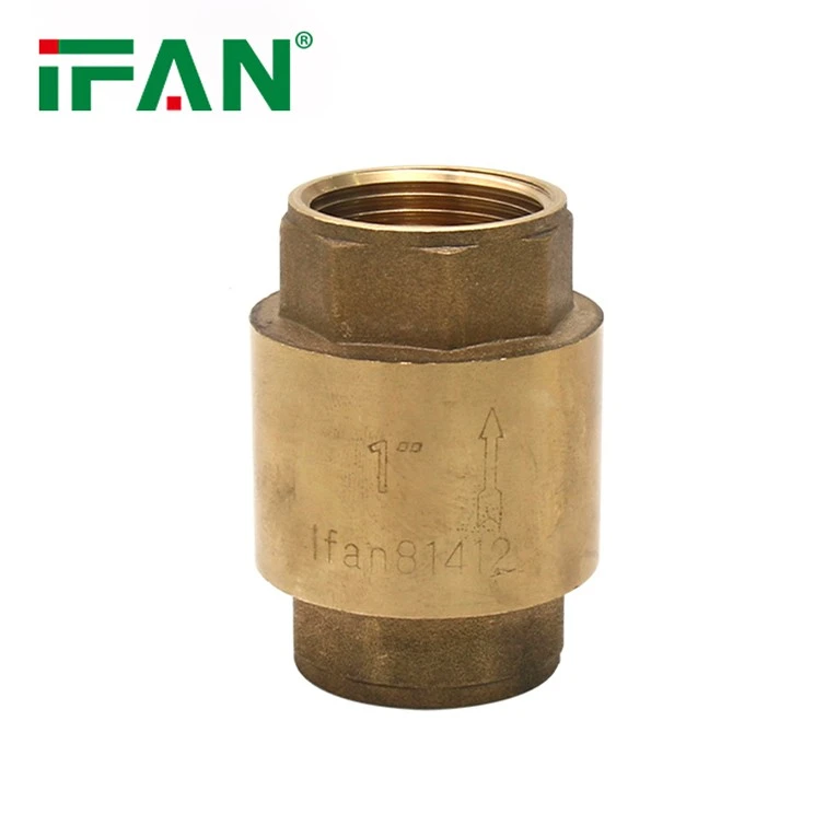 Check Valve For Water